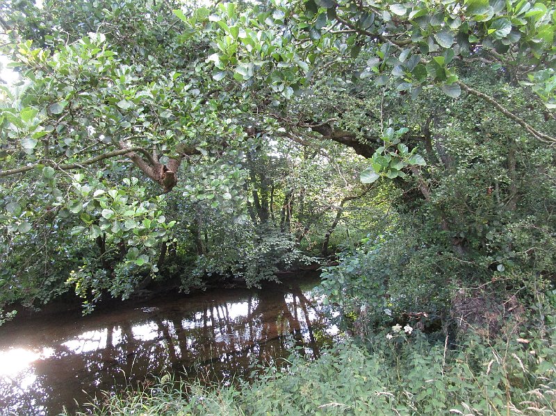 2018.07.16 ab in den Sueden Schottlands (3152).JPG
